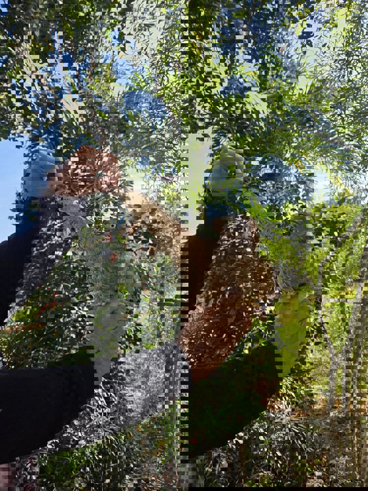 imagen-cuerpo imagen-cuerpo