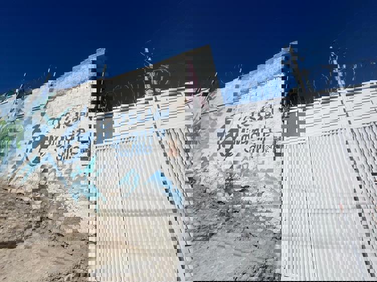 imagen-cuerpo imagen-cuerpo