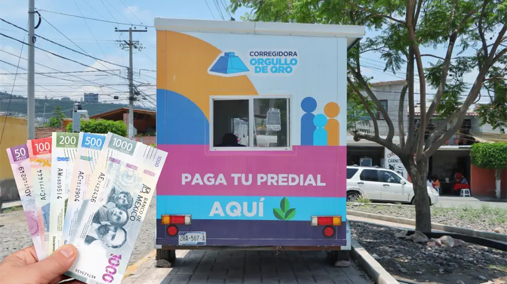 Así puedes tener seguro para tu perrito o gatito en Querétaro sin pagarlo