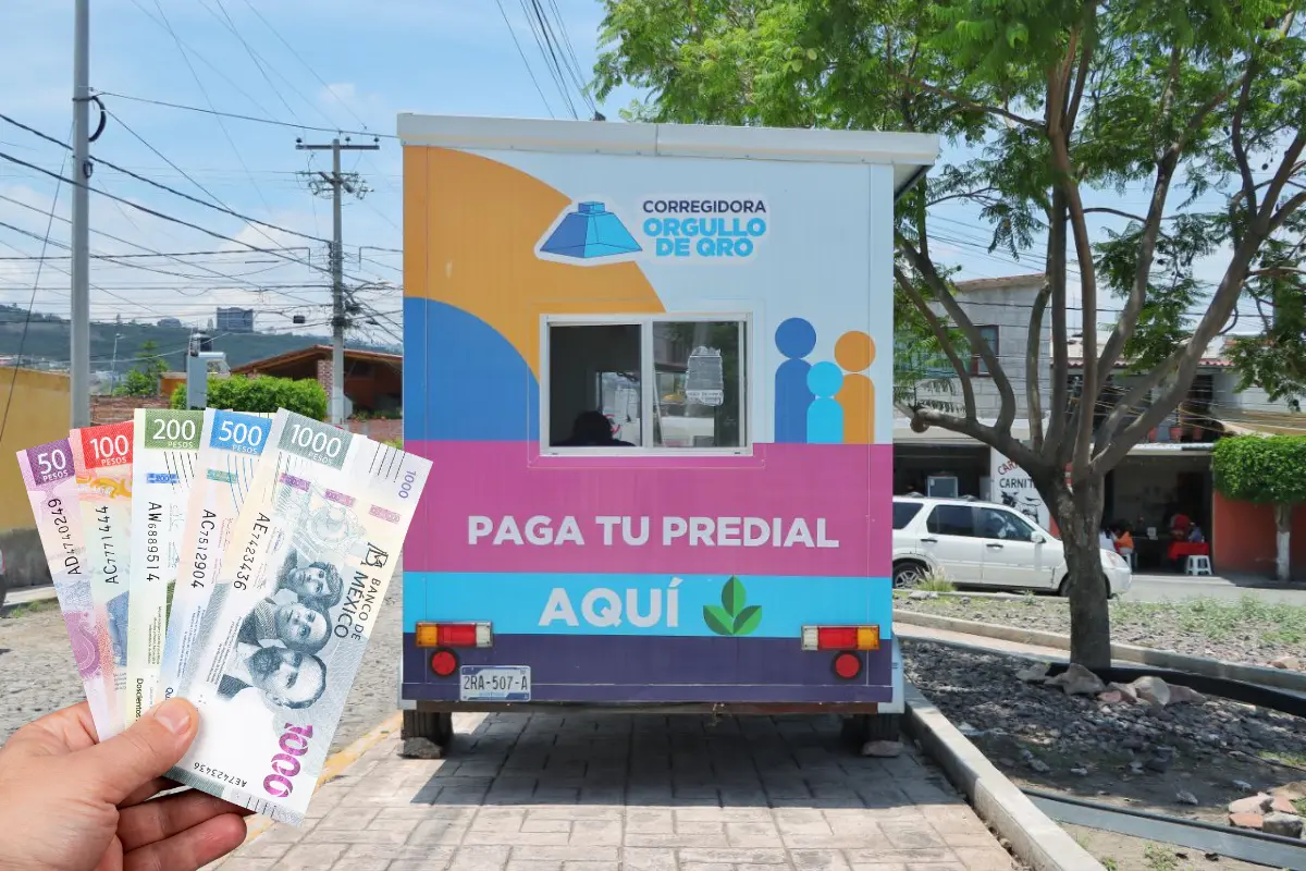 Así puedes tener seguro para tu perrito o gatito en Querétaro sin pagarlo. Foto: Gobierno de Corregidora | Canva