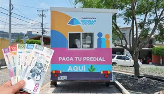 Así puedes tener seguro para tu perrito o gatito en Querétaro sin pagarlo