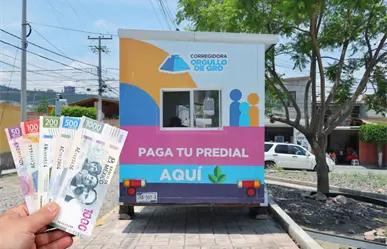 Así puedes tener seguro para tu perrito o gatito en Querétaro sin pagarlo