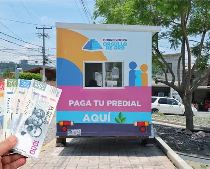 As&iacute; puedes tener seguro para tu perrito o gatito en Quer&eacute;taro sin pagarlo