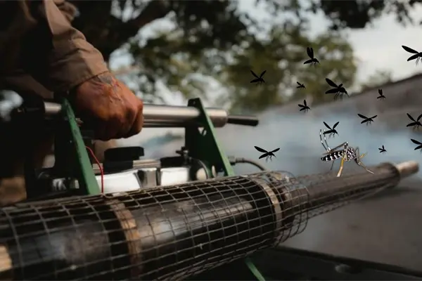 Chikungunya reaparece en Yucatán tras siete años sin casos: qué está pasando y por qué preocupa Chikungunya reaparece en Yucatán tras siete años sin casos: qué está pasando y por qué preocupa