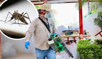 Coahuila busca evitar repunte de dengue en 2026; estas son las acciones preventivas