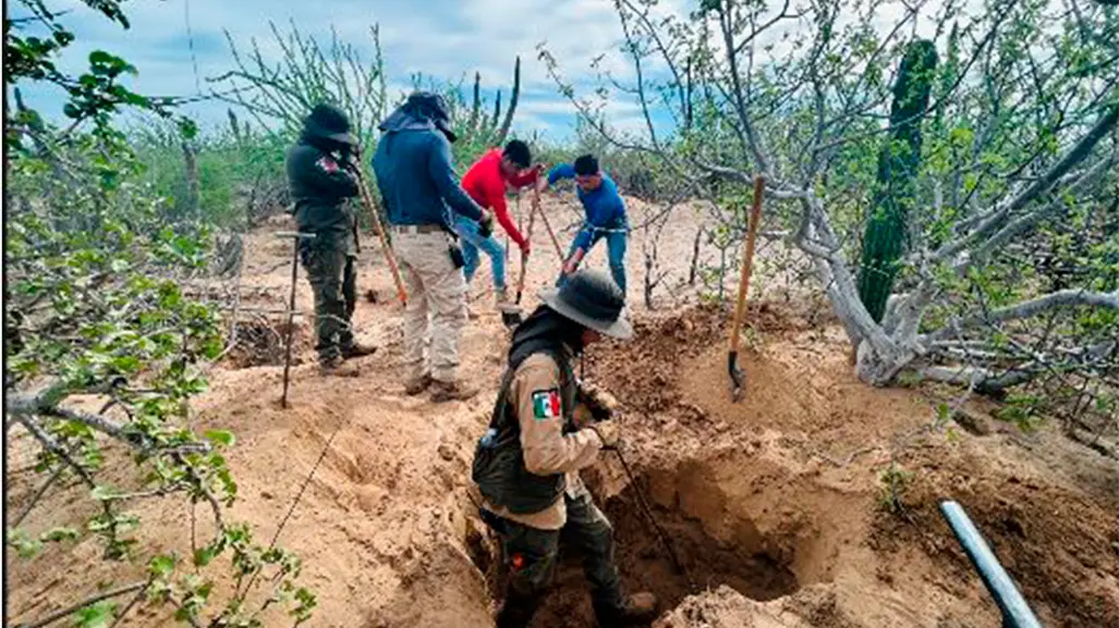M&aacute;s de 20 fichas de b&uacute;squeda se desactivan tras identificaciones en San Juan de la Costa