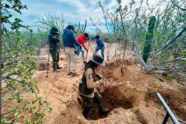 Más de 20 fichas de búsqueda se desactivan tras identificaciones en San Juan de la Costa Más de 20 fichas de búsqueda se desactivan tras identificaciones en San Juan de la Costa