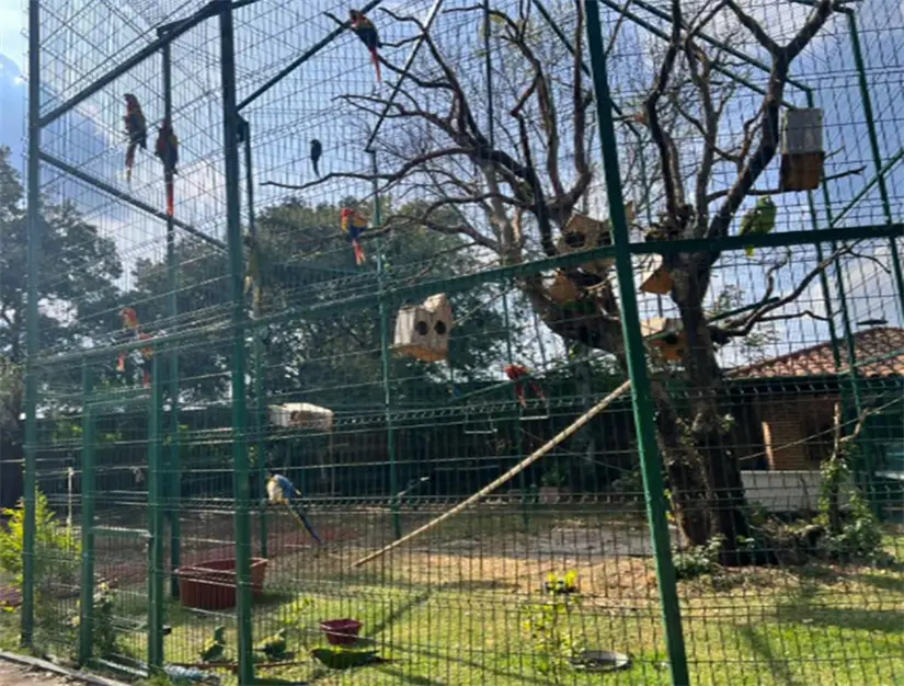 imagen recuadro Aviarios encontrado tras el cateo de la FGR. Foto: X (@FGR_Jal)