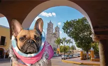 ¿Cuándo termina el frente frío en Yucatán y cómo cambiará el clima? Esto dicen los expertos