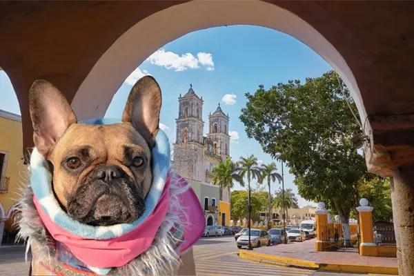 ¿Cuándo termina el frente frío en Yucatán y cómo cambiará el clima? Esto dicen los expertos ¿Cuándo termina el frente frío en Yucatán y cómo cambiará el clima? Esto dicen los expertos