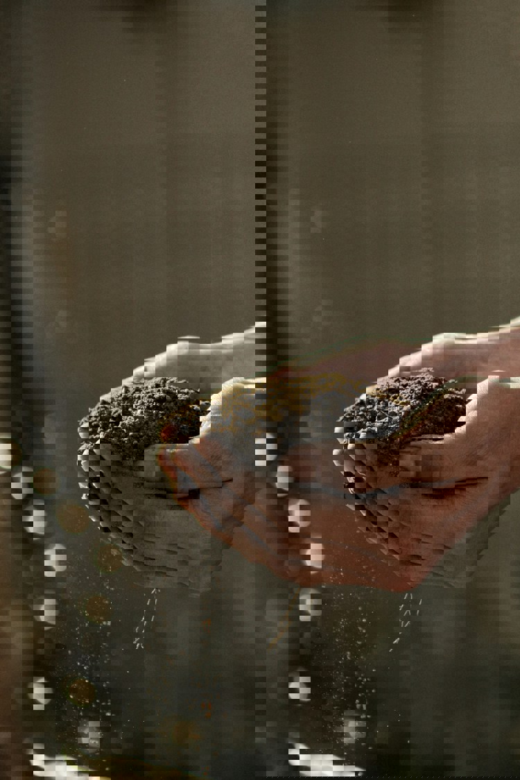 imagen-cuerpo imagen-cuerpo