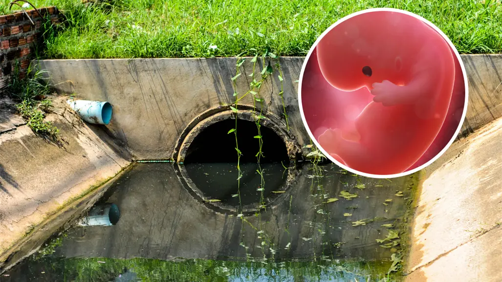 Macabro hallazgo: encuentran feto en drenaje de Pesquer&iacute;a