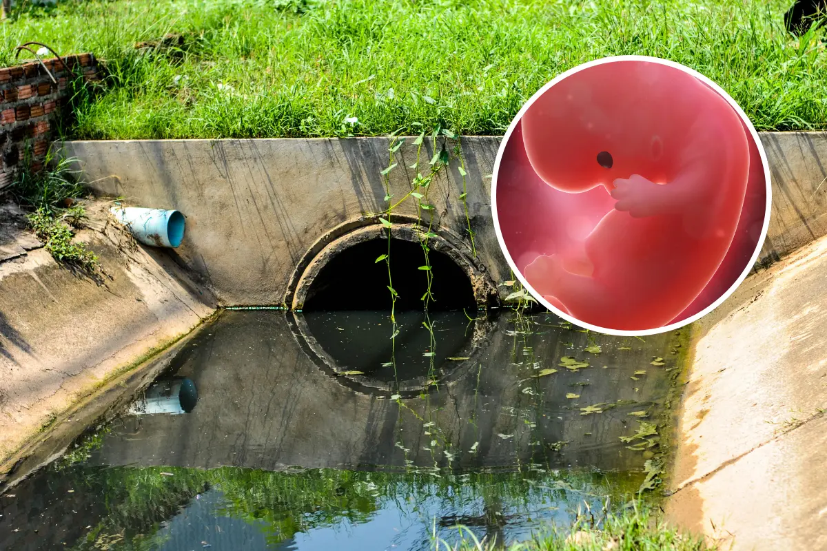 Las autoridades enfrentan una tragedia en Pesquería tras el descubrimiento de un feto en el drenaje. Foto: Canva