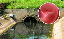 Macabro hallazgo: encuentran feto en drenaje de Pesquería Macabro hallazgo: encuentran feto en drenaje de Pesquería