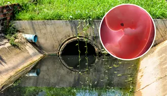 Macabro hallazgo: encuentran feto en drenaje de colonia Valles Floridos