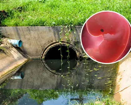 Macabro hallazgo: encuentran feto en drenaje de Pesquería