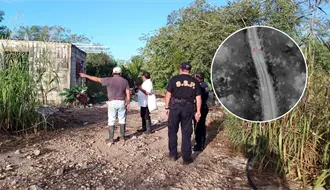 Nuevo operativo de búsqueda en Yucatán: persona de 40 años desapareció desde el 13 de diciembre