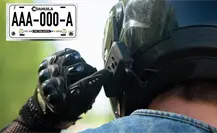 Saltillo busca que motos se entreguen con placas desde su venta Saltillo busca que motos se entreguen con placas desde su venta