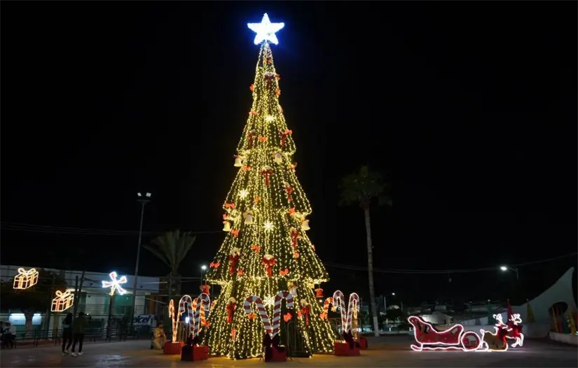 imagen recuadro Foto: Ayuntamiento de Los Cabos