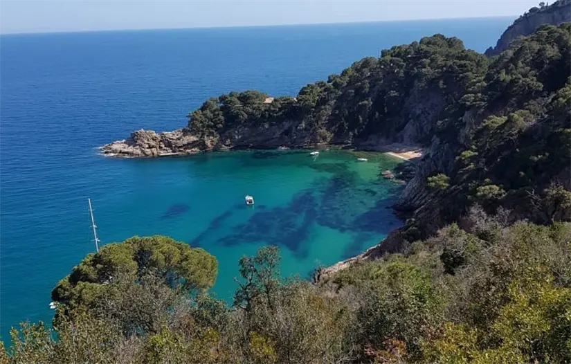 imagen recuadro Foto: TripAdvisor