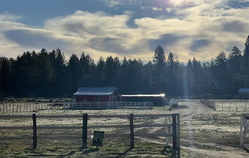imagen recuadro Foto: Facebook / Rancho Bajio Largo