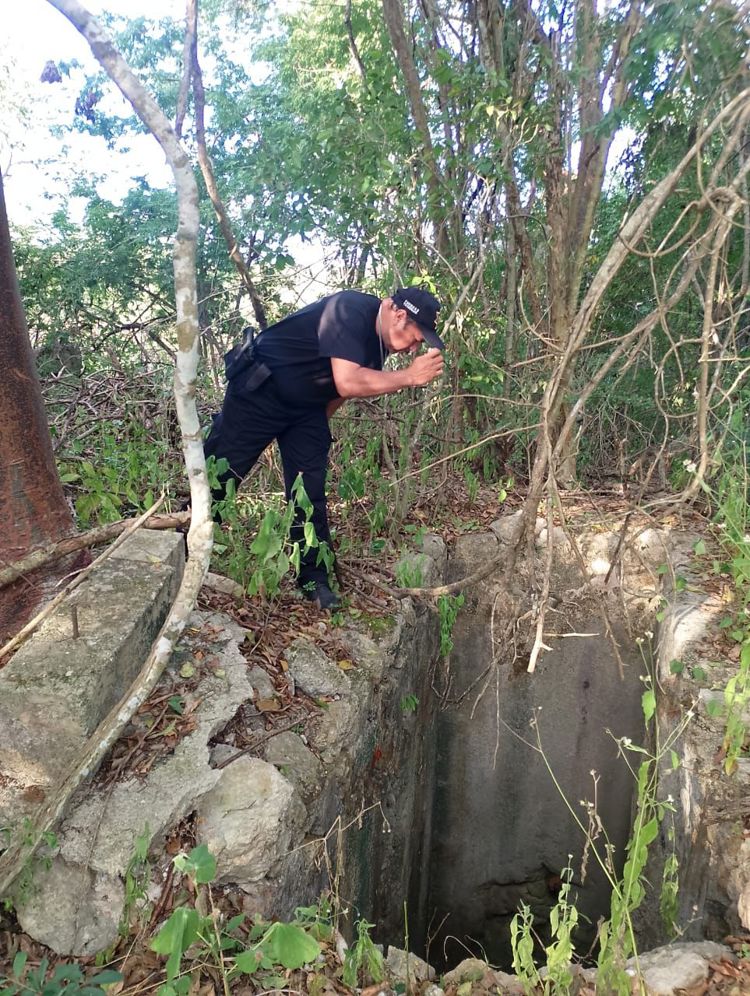 imagen-cuerpo imagen-cuerpo