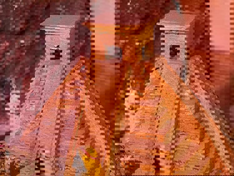 imagen-cuerpo imagen-cuerpo