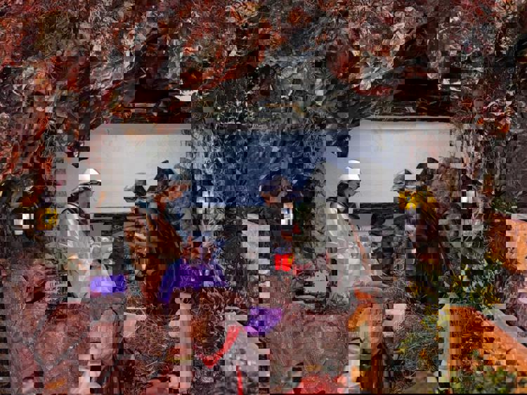 imagen-cuerpo imagen-cuerpo