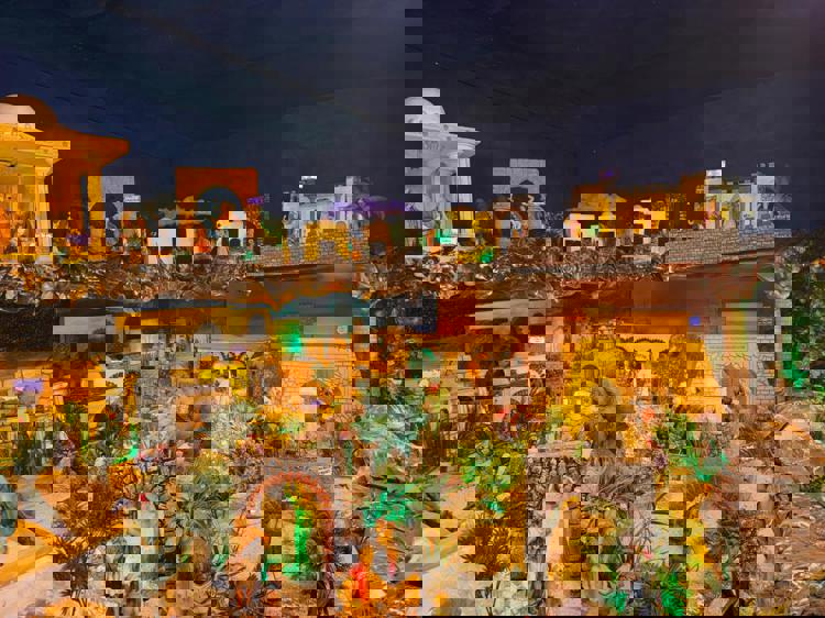 imagen-cuerpo imagen-cuerpo