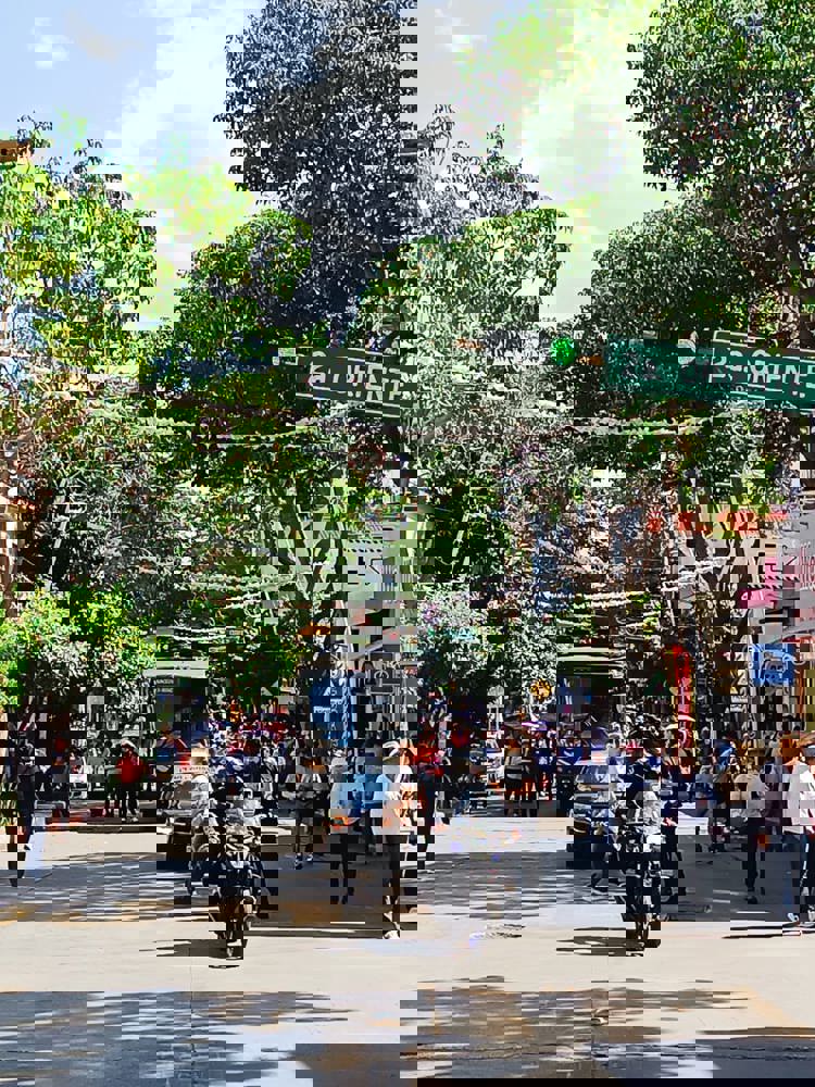 imagen-cuerpo imagen-cuerpo