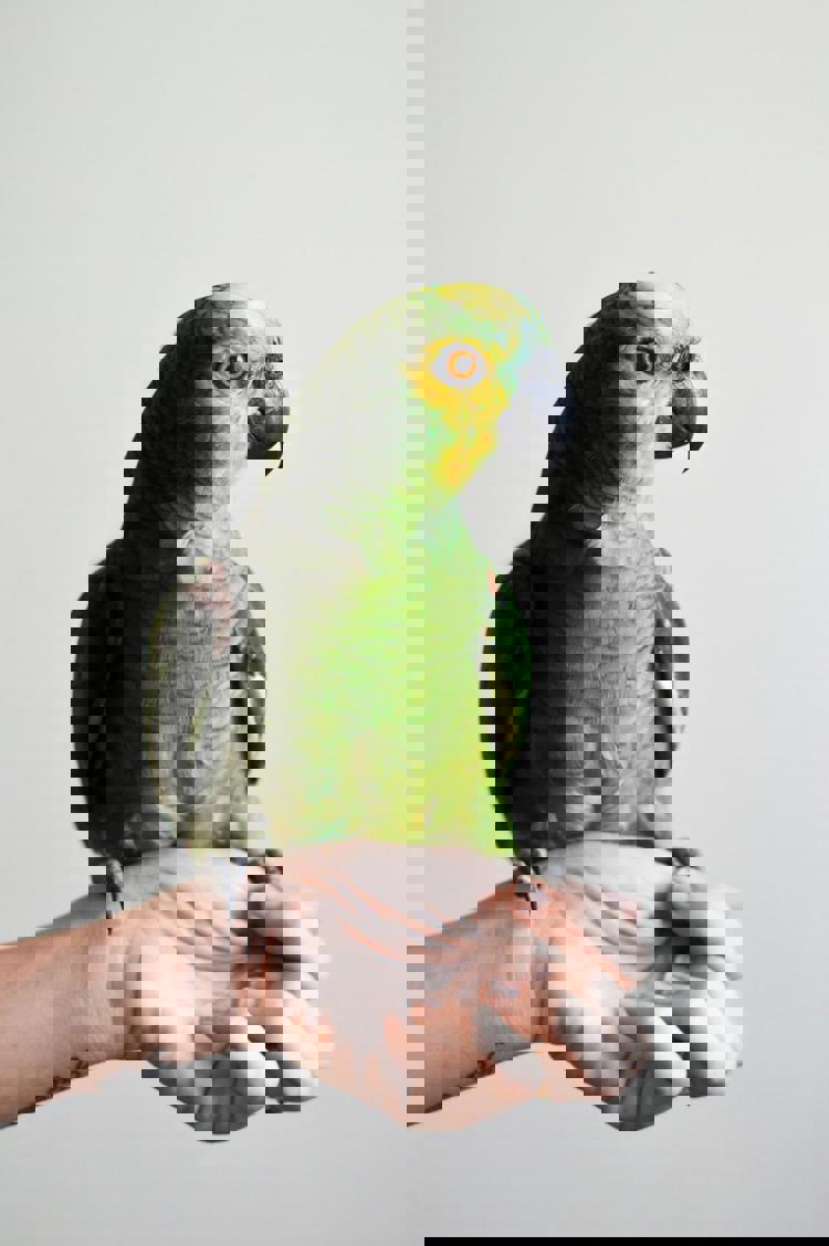 imagen-cuerpo imagen-cuerpo