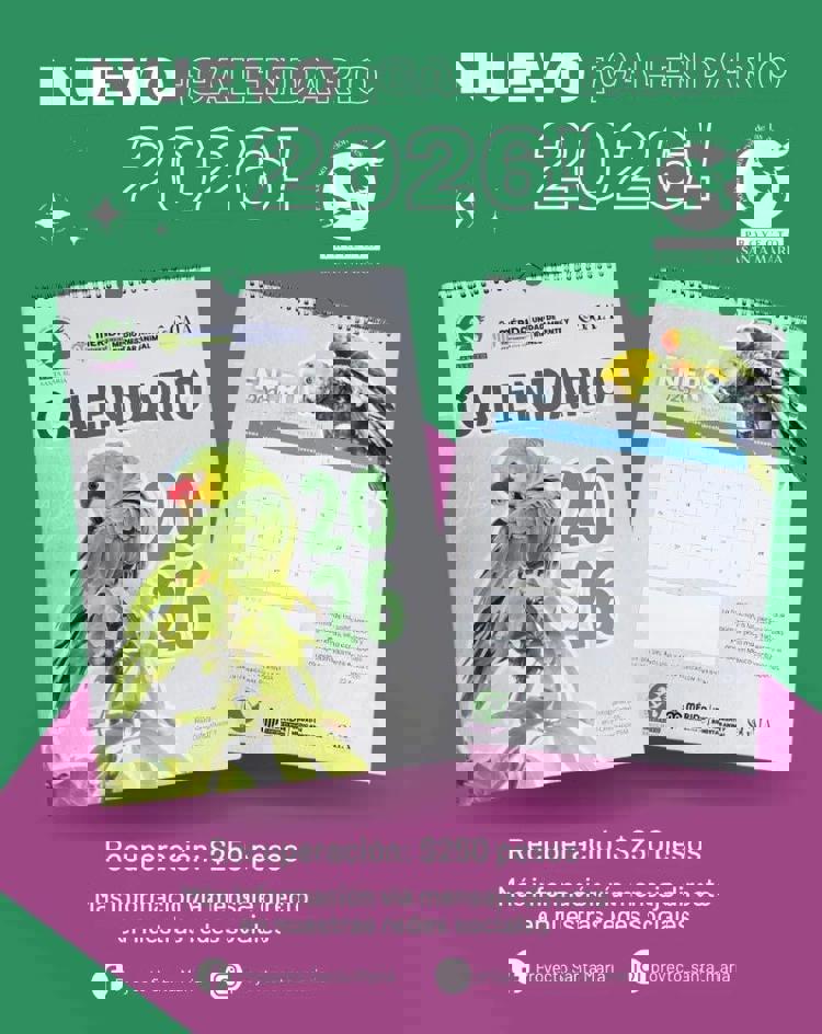 imagen-cuerpo imagen-cuerpo