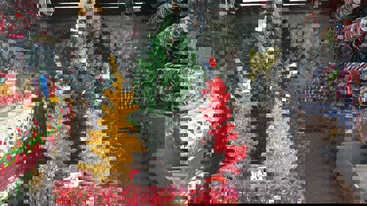 imagen-cuerpo imagen-cuerpo