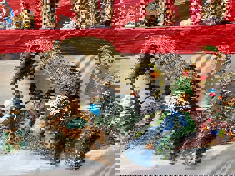 imagen-cuerpo imagen-cuerpo