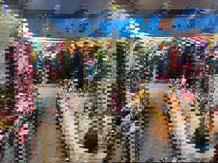 imagen-cuerpo imagen-cuerpo