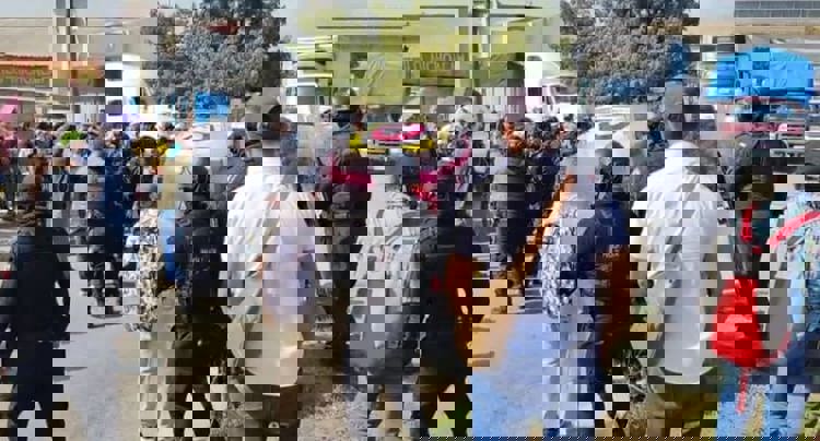 imagen-cuerpo imagen-cuerpo