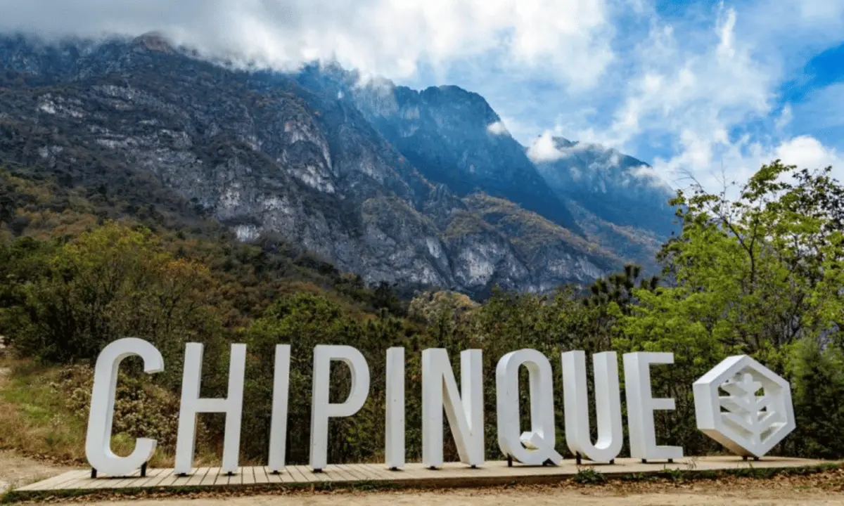 La oferta de este año destaca por integrar la cultura con el entorno forestal. Foto: Chipinque.