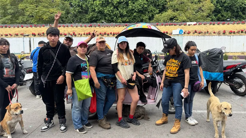 Abandono de perritos aumenta en diciembre en CDMX mientras también crece la adopción