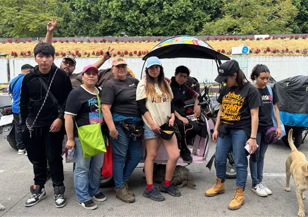 Abandono de perritos aumenta en diciembre en CDMX mientras tambi&eacute;n crece la adopci&oacute;n