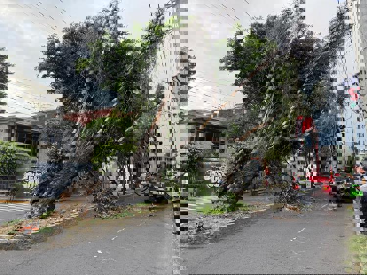 imagen-cuerpo imagen-cuerpo