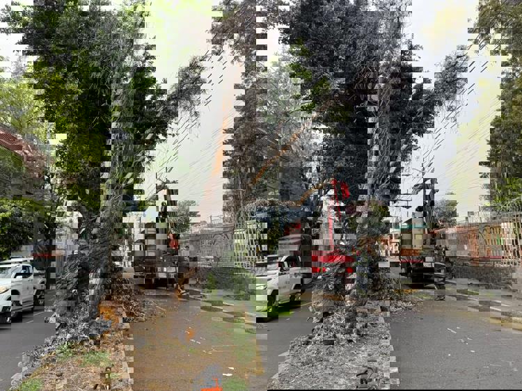 imagen-cuerpo imagen-cuerpo