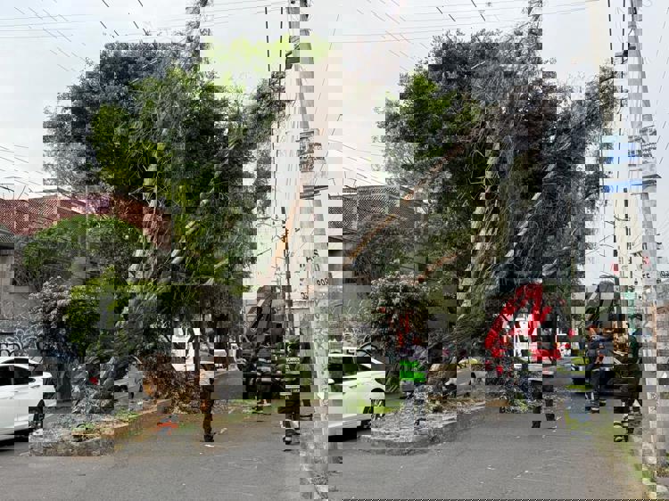 imagen-cuerpo imagen-cuerpo