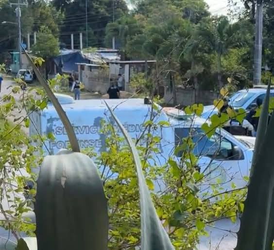 imagen-cuerpo imagen-cuerpo