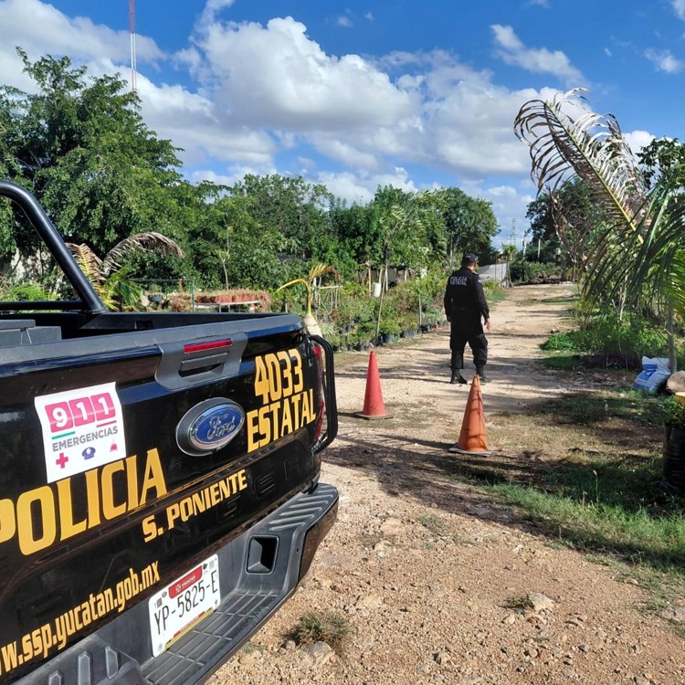 imagen-cuerpo imagen-cuerpo