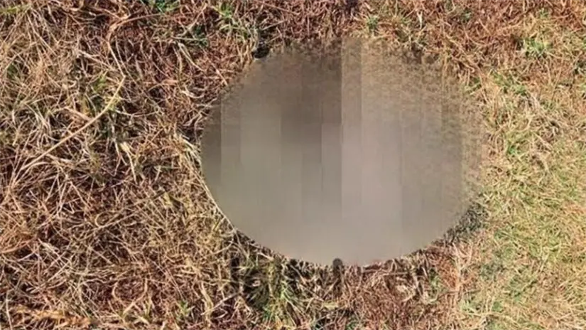 Consternación en Toluca tras el hallazgo de un recién nacido calcinado en el camellón de la transitada avenida Las Torres. Foto: Especial