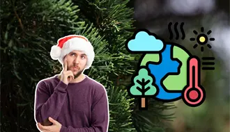 Feria del Pino 2025 en Nuevo León: ¿cuál es el mejor tipo de pino natural para el clima decembrino?