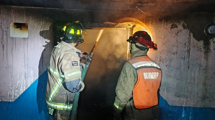 imagen-cuerpo imagen-cuerpo