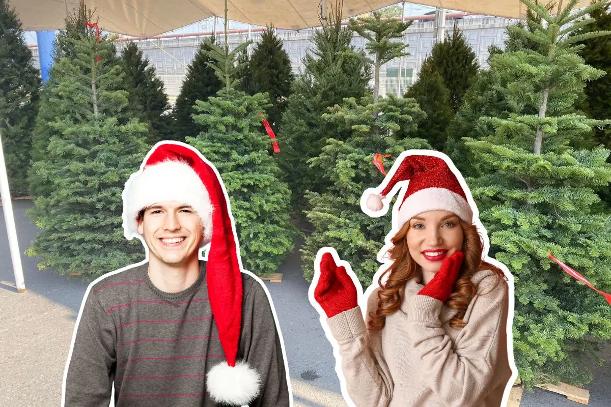 Los comerciantes de la Feria del Pino 2025 pueden ofrecer descuentos previo al cierre del día. Foto: Facebook Feria del Pino Citadel San Nicolás / Canva