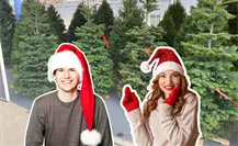 Feria del Pino 2025: ¿cuál es la mejor hora para cazar ofertas? Feria del Pino 2025: ¿cuál es la mejor hora para cazar ofertas?