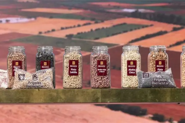 Esta es la impresionante cantidad de frijol de Durango cuya venta está garantizada Esta es la impresionante cantidad de frijol de Durango cuya venta está garantizada